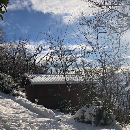 "La Romantica" Rifugio Nel Bosco Astano Екстер'єр фото