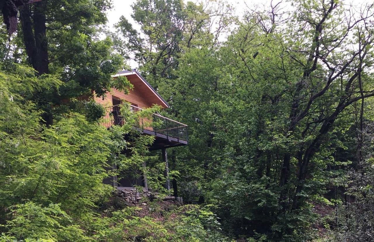 "La Romantica" Rifugio Nel Bosco Astano Екстер'єр фото